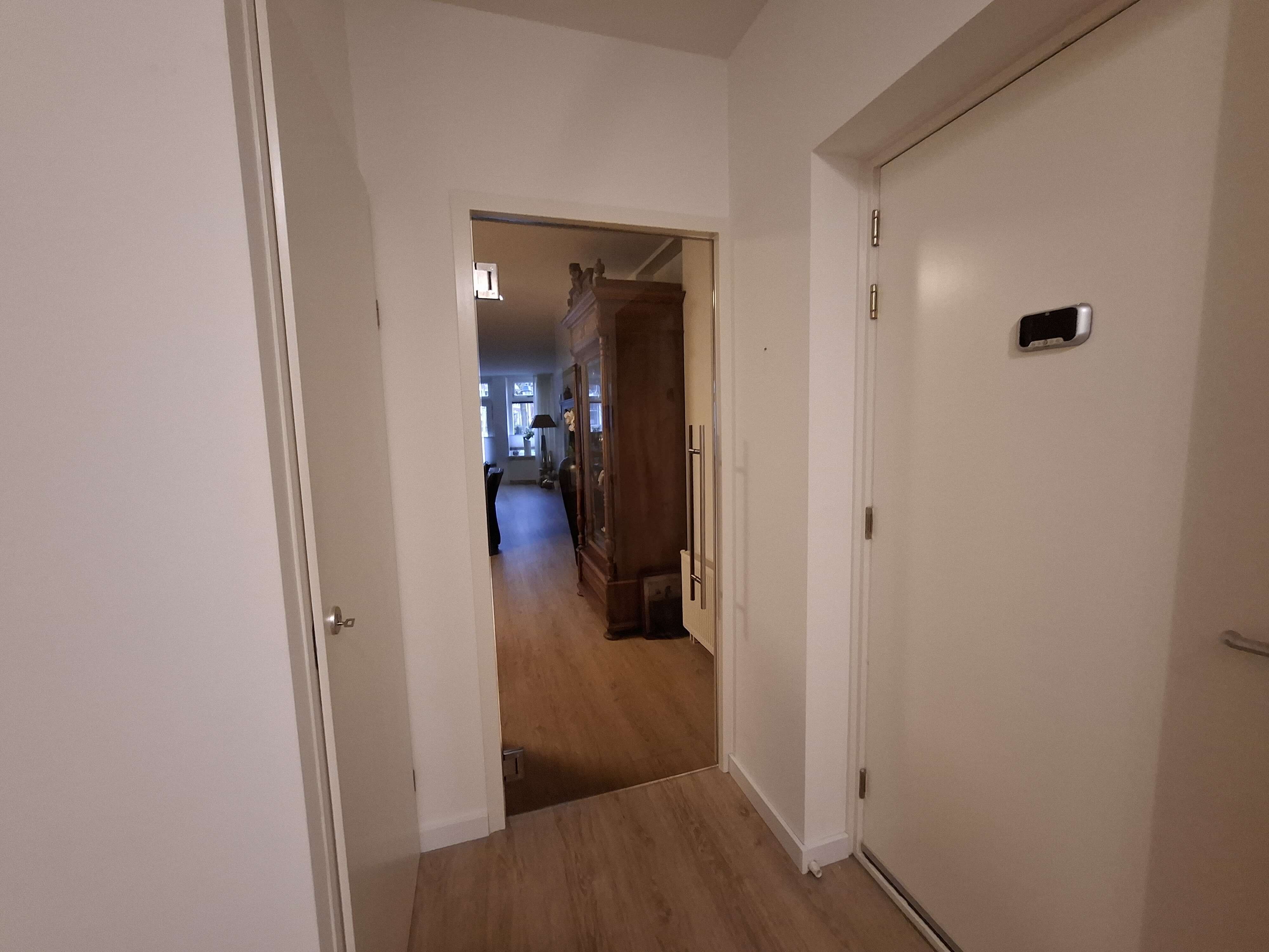 Glazen pendeldeur Harlingen